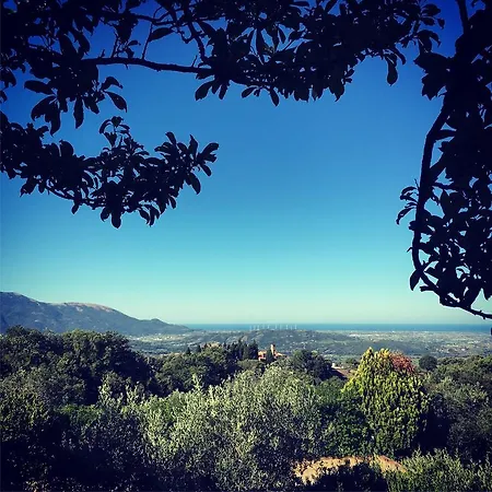 Casale Degli Ulivi Prestige B&B *